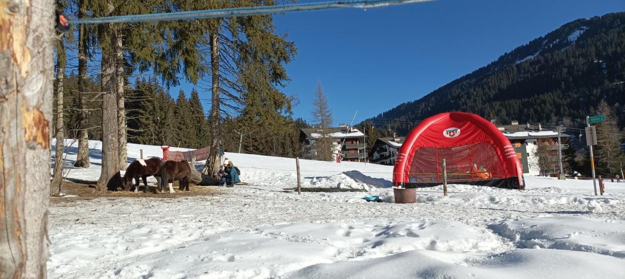 Studio Appartement Avec Piscine, Ski Porte Du Soleil Morgins, Ps3 Games, Wash & Bring Sheets Bagian luar foto